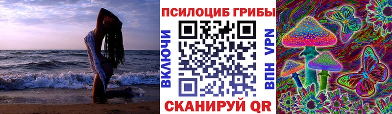 где продают   Бородино  Псилоцибиновые грибы ЛСД 